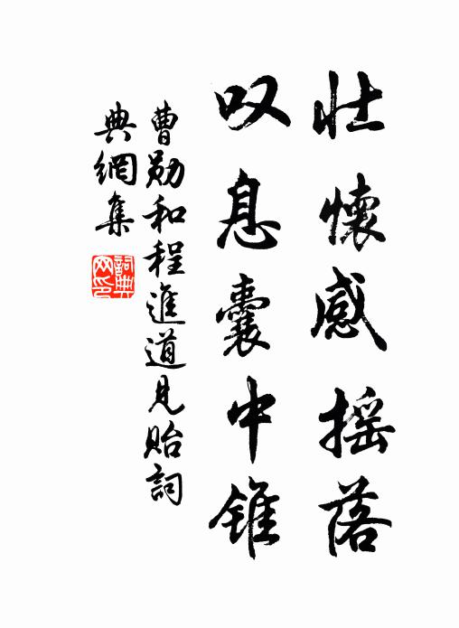 曹勋壮怀感摇落，叹息囊中锥书法作品欣赏