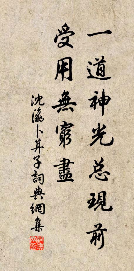 沈瀛一道神光总现前，受用无穷尽书法作品欣赏
