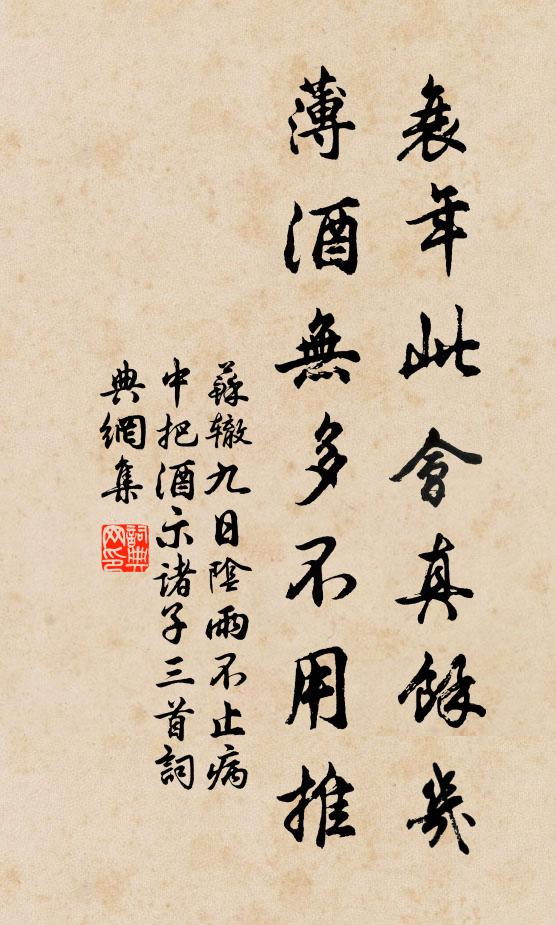 苏辙衰年此会真余几，薄酒无多不用推书法作品欣赏