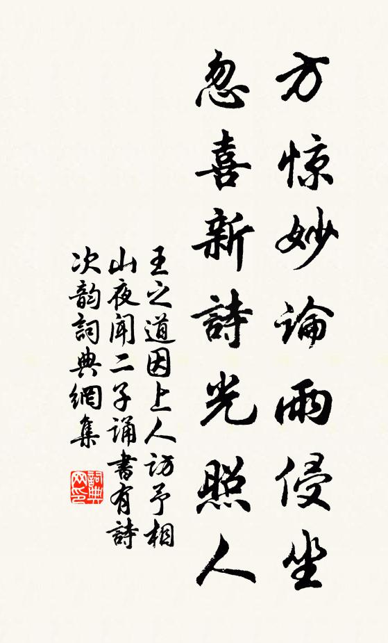 王之道方惊妙论雨侵坐，忽喜新诗光照人书法作品欣赏