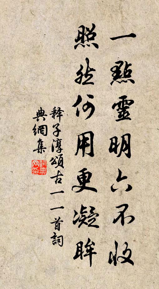 释子淳一点灵明六不收，照然何用更凝眸书法作品欣赏