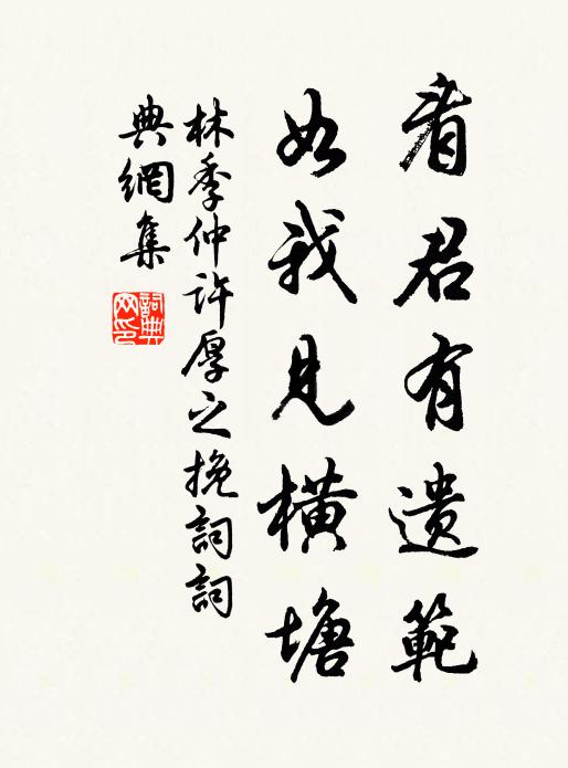 林季仲看君有遗范,如我见横塘书法作品欣赏