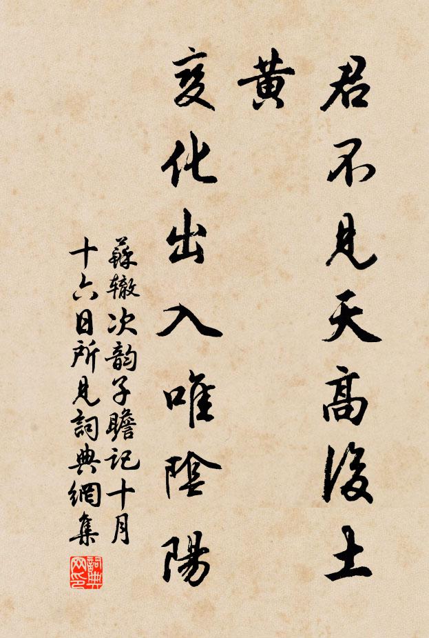 苏辙君不见天高后土黄，变化出入唯阴阳书法作品欣赏