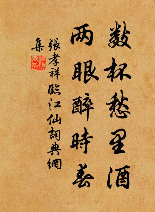 张孝祥数杯愁里酒，两眼醉时春书法作品欣赏