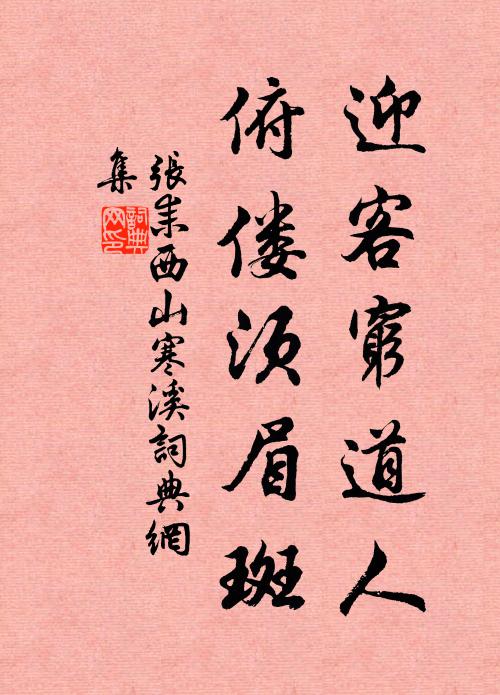 张耒迎客穷道人，俯偻须眉斑书法作品欣赏