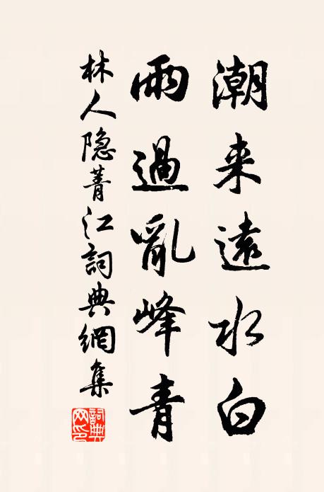 林人隐潮来远水白，雨过乱峰青书法作品欣赏