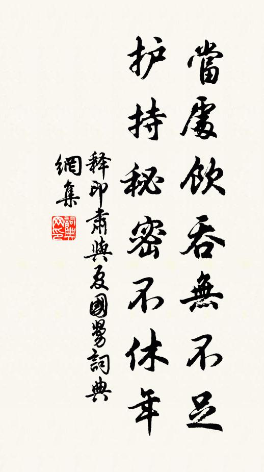释印肃当处饮吞无不足，护持秘密不休年书法作品欣赏