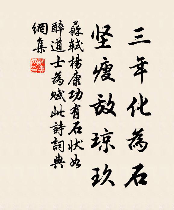 苏轼三年化为石，坚瘦敌琼玖书法作品欣赏
