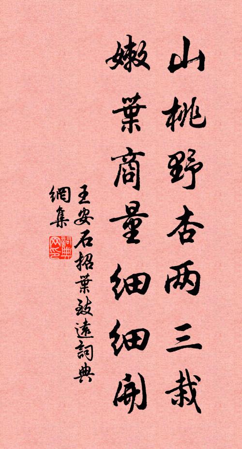 王安石山桃野杏两三栽，嫩叶商量细细开书法作品欣赏