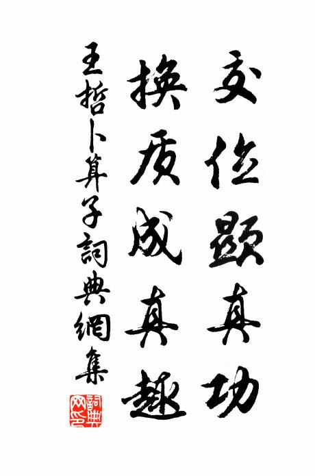 王哲交位显真功，换质成真趣书法作品欣赏