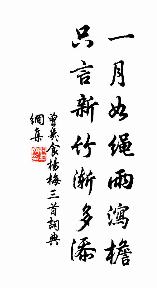 曾几一月如绳雨泻檐，只言新竹渐多添书法作品欣赏