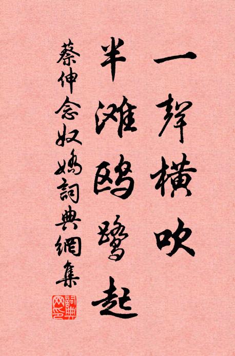 蔡伸一声横吹，半滩鸥鹭起书法作品欣赏