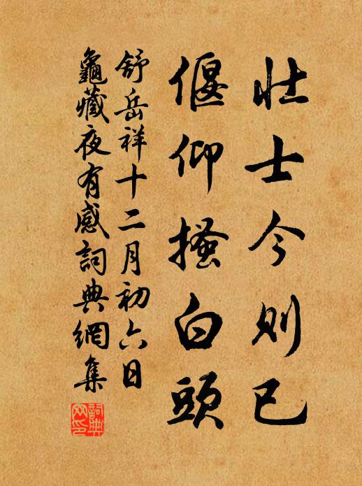 舒岳祥壮士今则已，偃仰搔白头书法作品欣赏