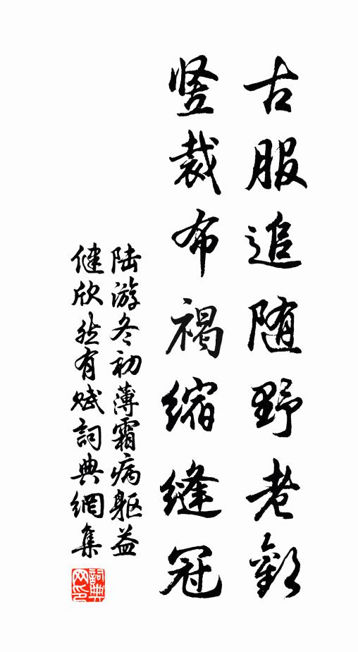 陆游古服追随野老欢，竖裁布褐缩缝冠书法作品欣赏