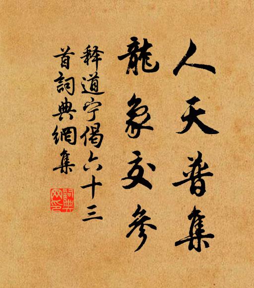 释道宁人天普集，龙象交参书法作品欣赏