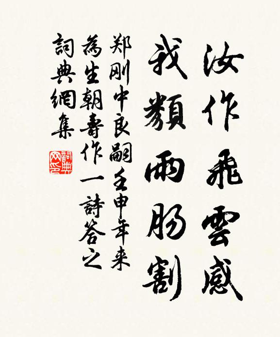 郑刚中汝作飞云感,我类雨肠割书法作品欣赏