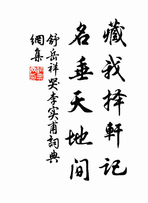 舒岳祥藏我择轩记，名垂天地间书法作品欣赏