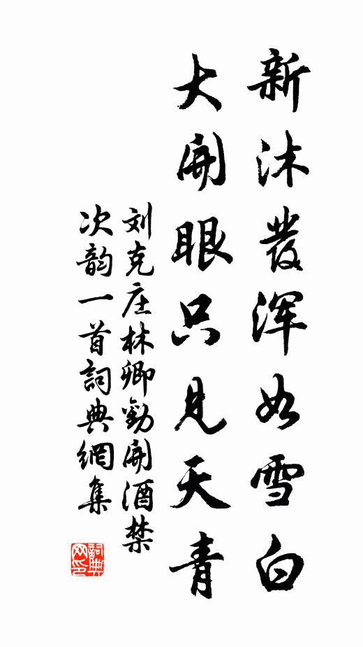 刘克庄新沐发浑如雪白，大开眼只见天青书法作品欣赏