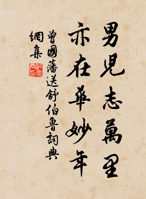 曾国藩男儿志万里，亦在华妙年书法作品欣赏