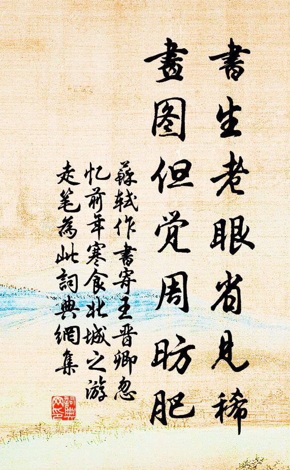 苏轼书生老眼省见稀，画图但觉周昉肥书法作品欣赏