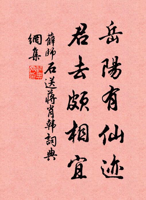 薛师石岳阳有仙迹，君去颇相宜书法作品欣赏