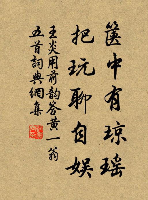 王炎箧中有琼瑶，把玩聊自娱书法作品欣赏