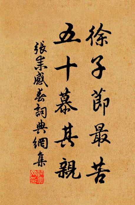 张耒徐子节最苦,五十慕其亲书法作品欣赏