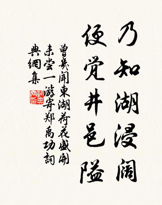 曾几乃知湖浸阔，便觉井邑隘书法作品欣赏