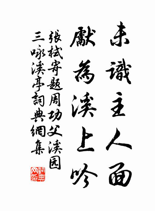 张栻未识主人面，先为溪上吟书法作品欣赏