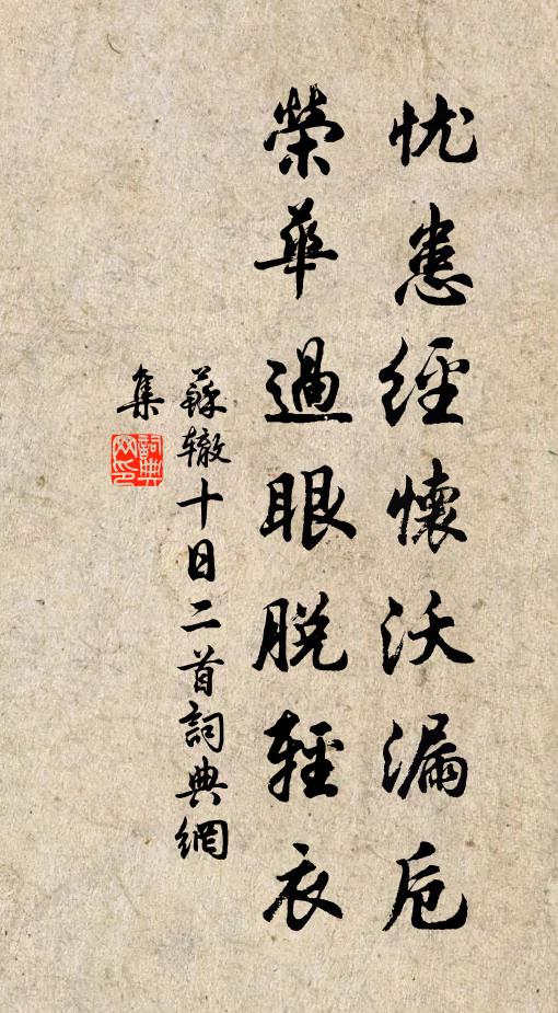 苏辙忧患经怀沃漏卮，荣华过眼脱轻衣书法作品欣赏