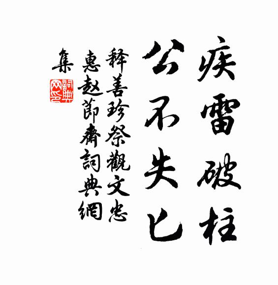 释善珍疾雷破柱，公不失匕书法作品欣赏