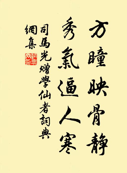 司马光方瞳映骨静，秀气逼人寒书法作品欣赏