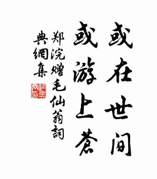 郑浣或在世间，或游上苍书法作品欣赏