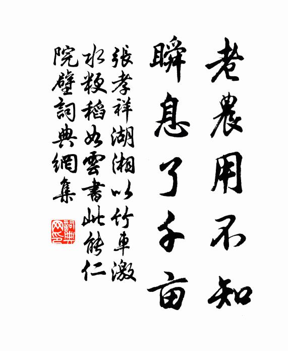 张孝祥老农用不知，瞬息了千亩书法作品欣赏