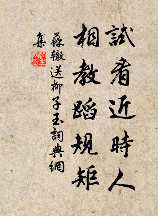 苏辙试看近时人，相教蹈规矩书法作品欣赏
