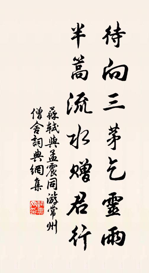 苏轼待向三茅乞灵雨，半篙流水赠君行书法作品欣赏