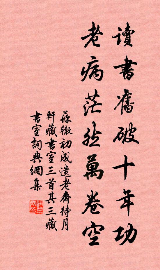 苏辙读书旧破十年功，老病茫然万卷空书法作品欣赏