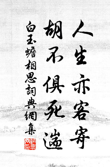 白玉蟾人生亦客寄，胡不俱死遄书法作品欣赏