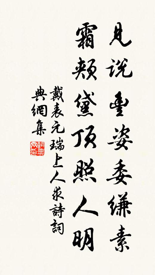 戴表元见说丰姿委缣素,霜颊黛顶照人明书法作品欣赏