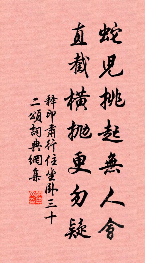 释印肃蛇儿挑起无人会，直截横抛更勿疑书法作品欣赏