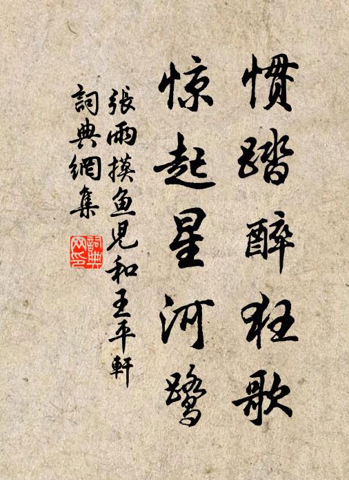 张雨惯踏醉狂歌，惊起星河鹭书法作品欣赏