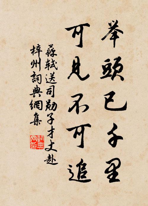 苏轼举头已千里,可见不可追书法作品欣赏