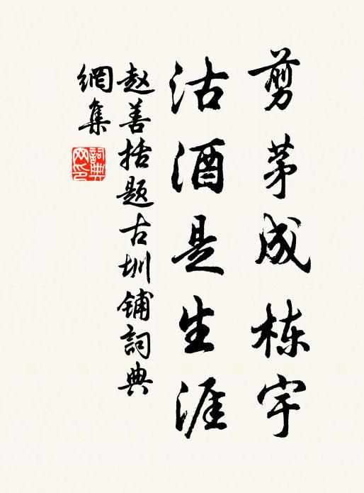 赵善括剪茅成栋宇，沽酒是生涯书法作品欣赏