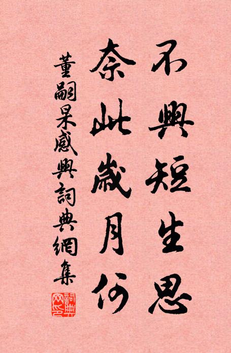 董嗣杲不兴短生思，奈此岁月何书法作品欣赏