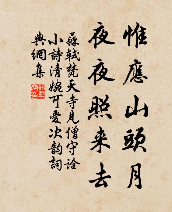 苏轼惟应山头月，夜夜照来去书法作品欣赏