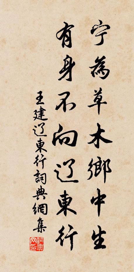 王建宁为草木乡中生，有身不向辽东行书法作品欣赏