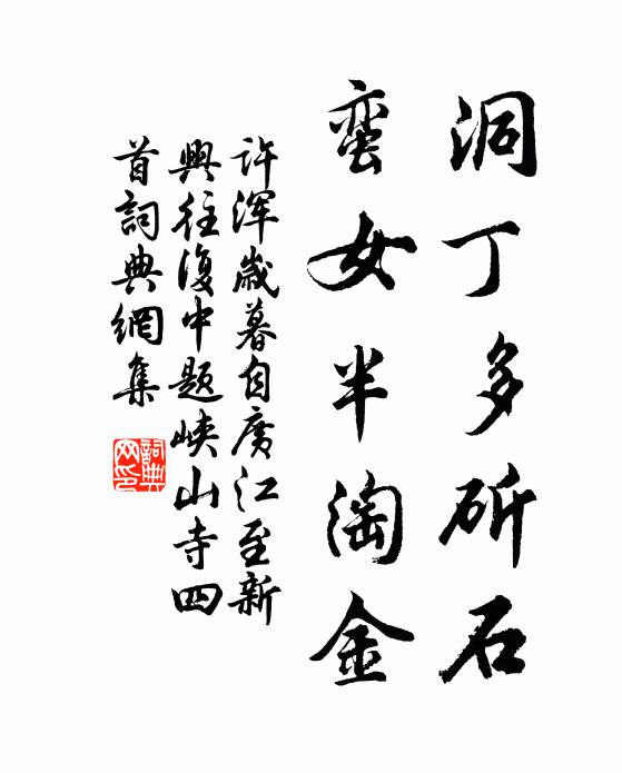 许浑洞丁多斫石，蛮女半淘金书法作品欣赏