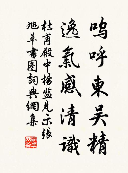 杜甫呜呼东吴精，逸气感清识书法作品欣赏