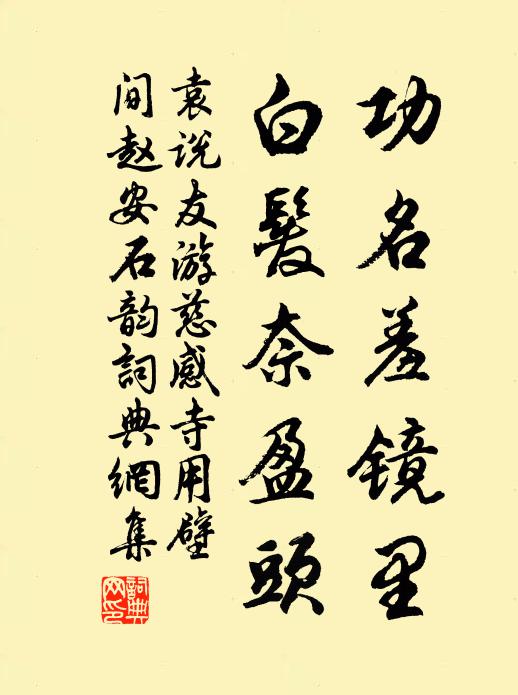 袁说友功名羞镜里，白发奈盈头书法作品欣赏