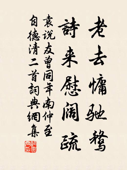 袁说友老去慵驰鹜，诗来慰阔疏书法作品欣赏